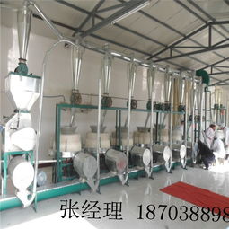 武進豆扁石碾實時報價